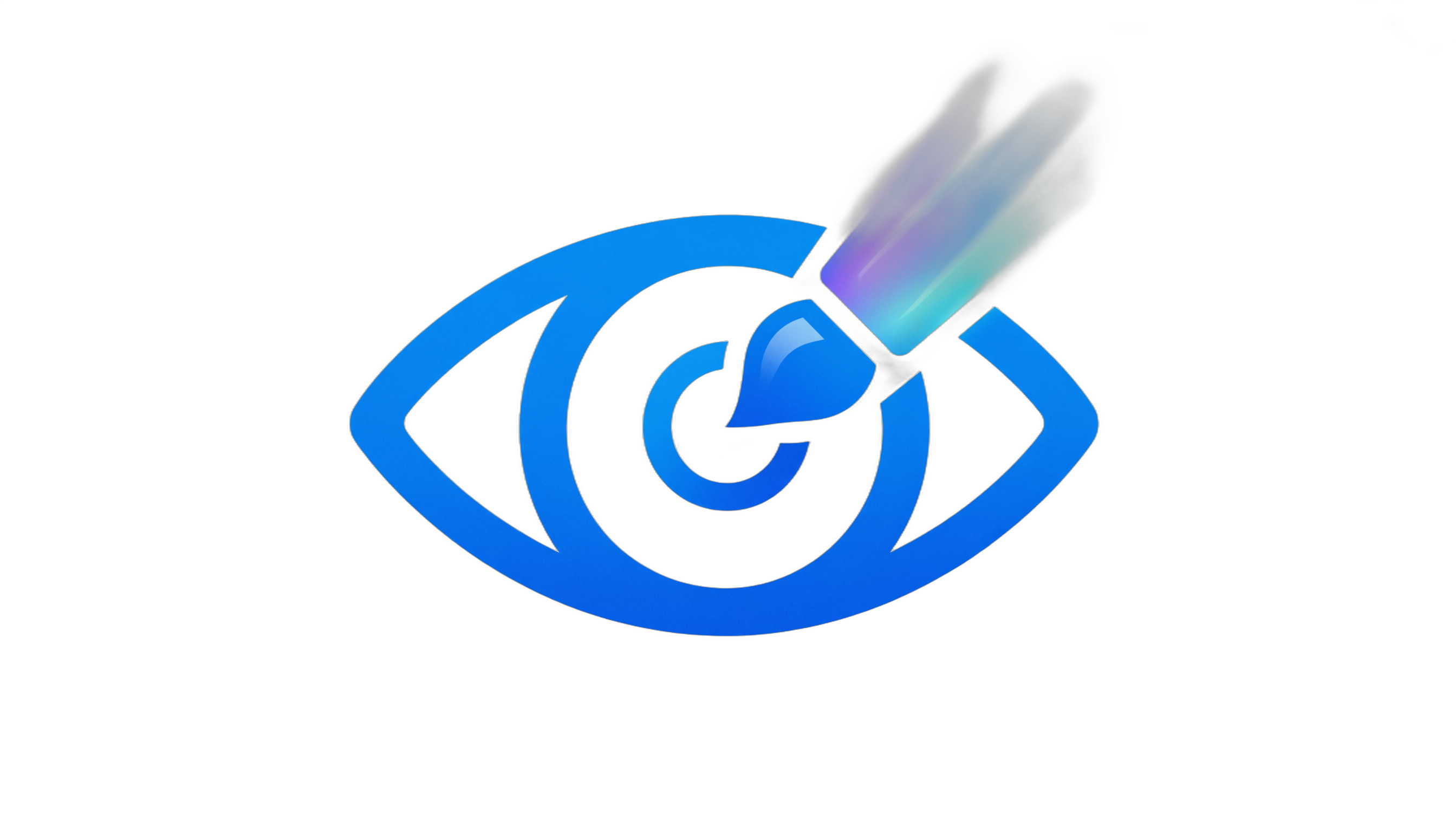 Vision